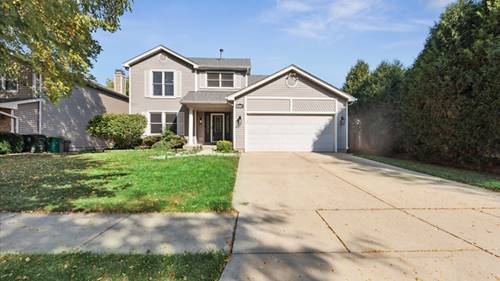 1810 Hawk, Elk Grove Village, IL 60007