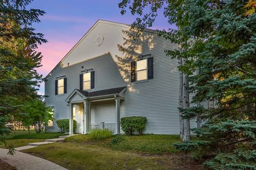 308 S Fieldstone, Round Lake, IL 60073