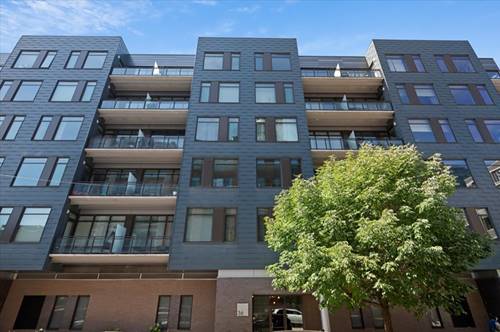 36 N Carpenter Unit 2N, Chicago, IL 60607