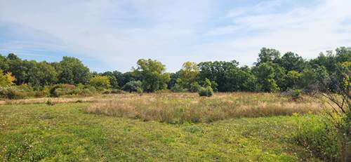 42751 N Sheridan Oaks, Antioch, IL 60002