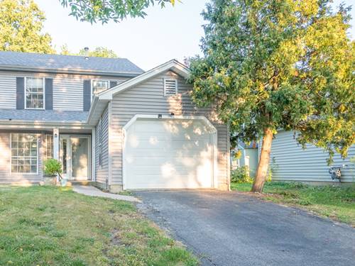 1877 Appaloosa, Naperville, IL 60565