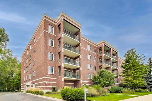 5320 N Lowell Unit 206, Chicago, IL 60630