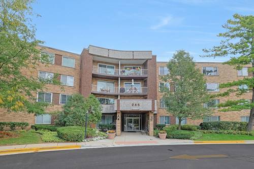 245 S Park Unit 409, Palatine, IL 60074