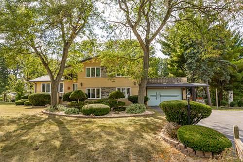 11716 Center, Lemont, IL 60439