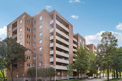 435 William Unit 205, River Forest, IL 60305