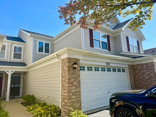 423 Acushnet Unit 423, Elgin, IL 60124