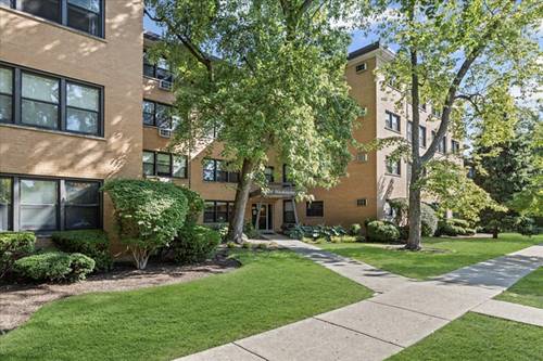 444 Washington Unit 207, Oak Park, IL 60302