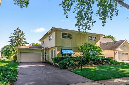 713 Burning Tree, Naperville, IL 60563