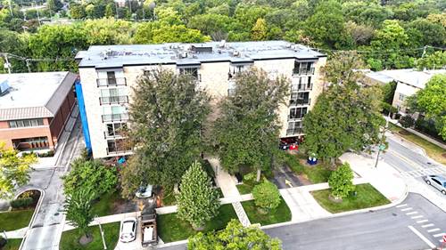 424 Park Unit 206, River Forest, IL 60305