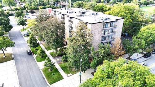 424 Park Unit 206, River Forest, IL 60305