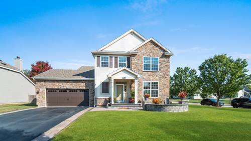 230 Liszka, Oswego, IL 60543