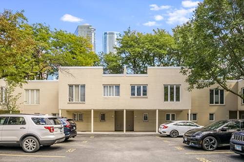 1073 S Park Unit 207, Chicago, IL 60605