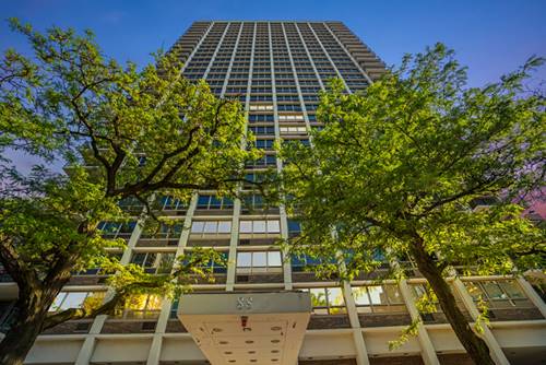 88 W Schiller Unit 904, Chicago, IL 60610