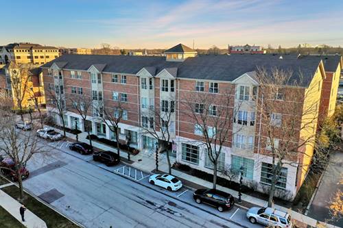 57 E Hattendorf Unit 206, Roselle, IL 60172