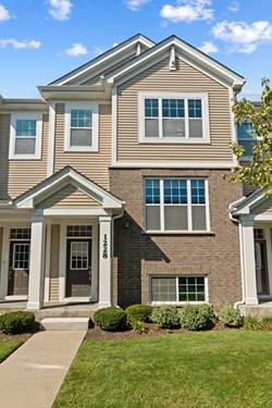 1228 Elm, Park Ridge, IL 60068