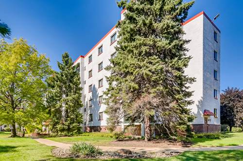 475 Plum Creek Unit 303, Wheeling, IL 60090