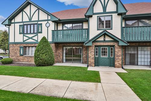 11537 Autobahn Unit 101, Palos Park, IL 60464
