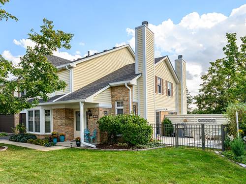 10111 Cambridge Unit Court-G, Mokena, IL 60448