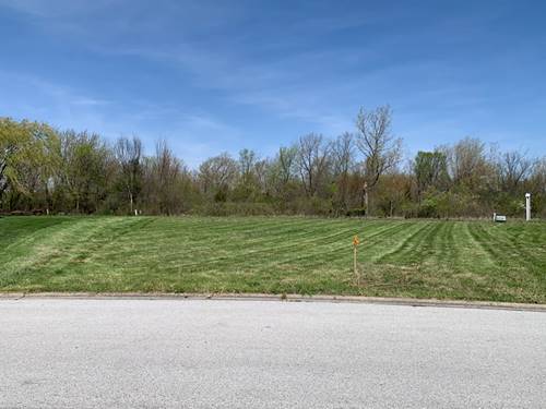2076 Nichols, Lynwood, IL 60411