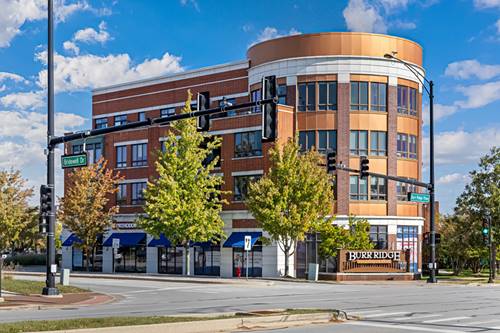 450 Village Center Unit 210, Burr Ridge, IL 60527