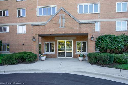 7450 Waukegan Unit 206, Niles, IL 60714