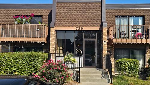 729 Limerick Unit 1B, Schaumburg, IL 60193