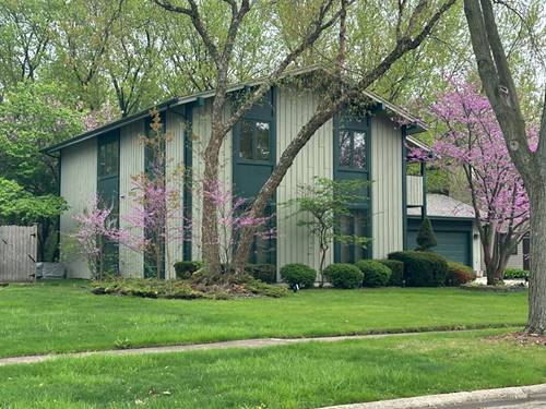 245 Little John, Bartlett, IL 60103