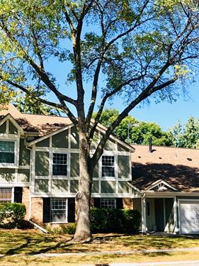 22 Waterbury Unit N1, Schaumburg, IL 60193