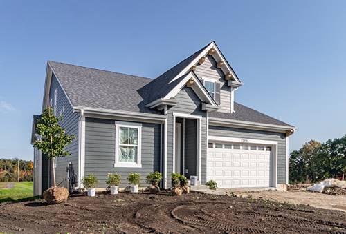 22079 Casa Bella View, Kildeer, IL 60047
