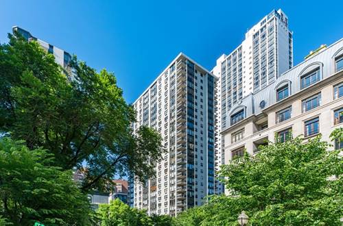 1313 N Ritchie Unit 2401, Chicago, IL 60610