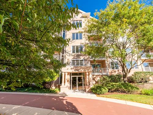 1715 Pavilion Unit 205, Park Ridge, IL 60068