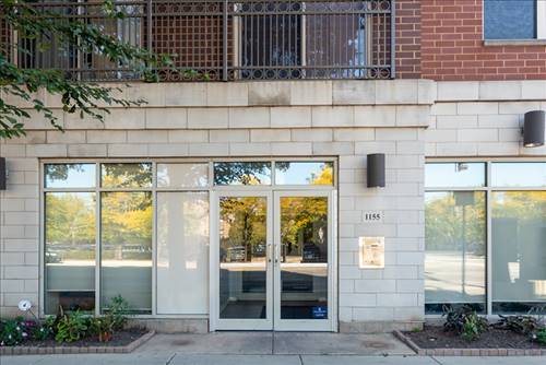 1155 W Roosevelt Unit 503, Chicago, IL 60608
