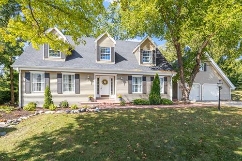 728 Stonebridge, Frankfort, IL 60423