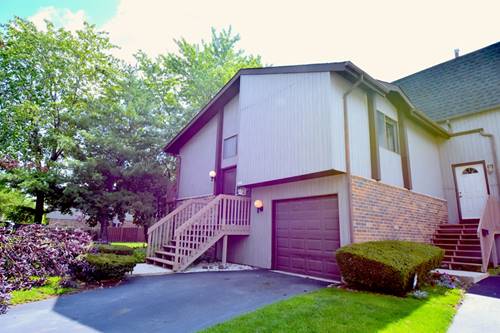 45 Salt Creek, Roselle, IL 60172