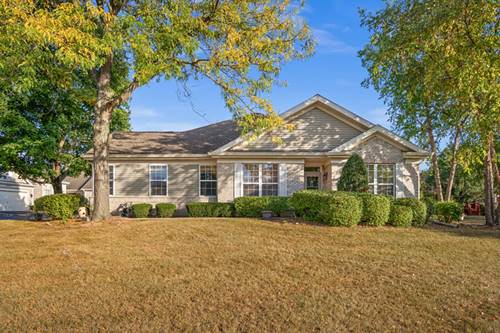 20965 W Snowberry, Plainfield, IL 60544