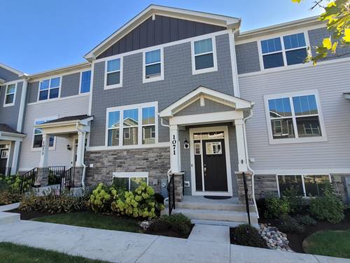 1071 Moraine, South Elgin, IL 60177