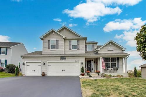 8208 Onyx, Joliet, IL 60431