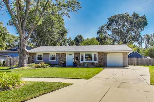 507 Ash, Schaumburg, IL 60193