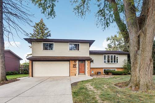 1504 E Emmerson, Mount Prospect, IL 60056