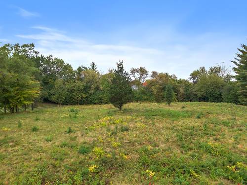 22711 N Amy, Kildeer, IL 60047