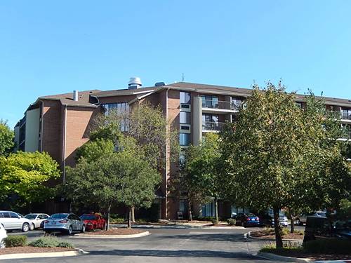 75 Kristin Unit 408, Schaumburg, IL 60195