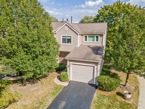 340 E Forest Knoll, Palatine, IL 60074