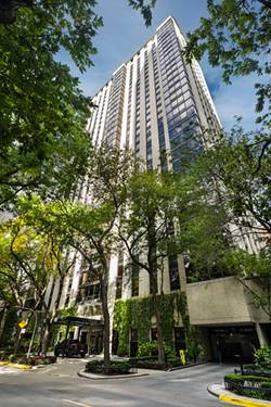 100 E Bellevue Unit 5E, Chicago, IL 60611