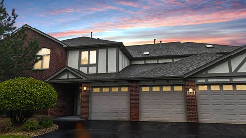 6254 Kallsen Unit 4, Tinley Park, IL 60477