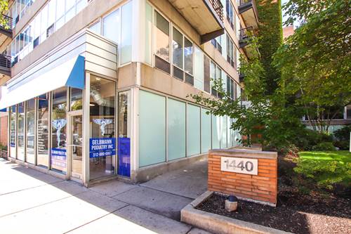 1440 S Michigan Unit 317, Chicago, IL 60605
