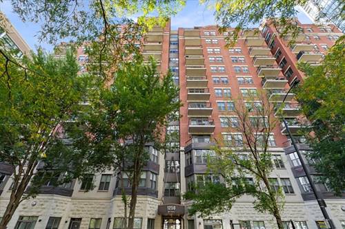 1250 S Indiana Unit 503, Chicago, IL 60605