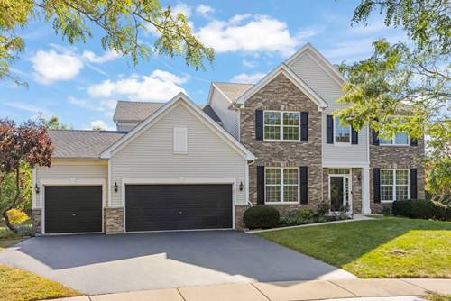 5 Player, Bolingbrook, IL 60490