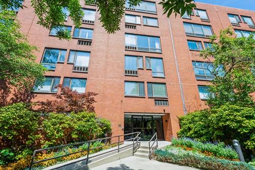 1115 S Plymouth Unit 124, Chicago, IL 60605