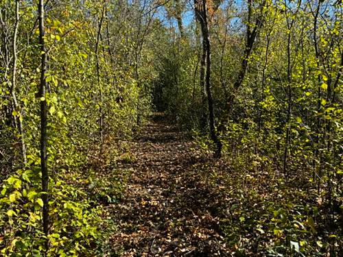 23976 W Beach Grove, Antioch, IL 60002