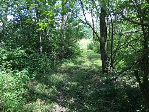 Oak Meadow Lot 3 Hadley, Homer Glen, IL 60491